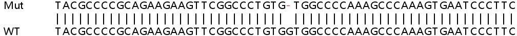Sanger Sequencing - Human ZYX (Zyxin) knockout HEK-293T cell lysate (AB257809), expandable thumbnail
