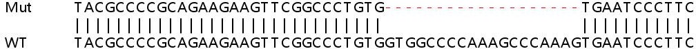 Sanger Sequencing - Human ZYX (Zyxin) knockout HEK-293T cell lysate (AB257809), expandable thumbnail