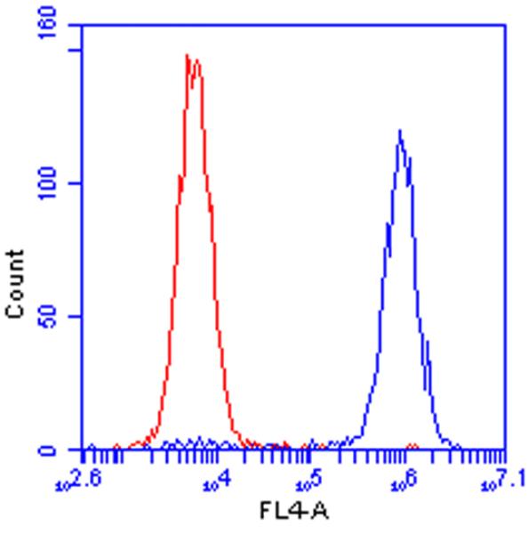 Flow Cytometry - Anti-HuR / ELAVL1 antibody [19F12AE12] (AB170193), expandable thumbnail