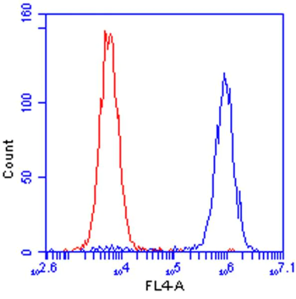 Flow Cytometry - Anti-HuR / ELAVL1 antibody [19F12AE12] (AB170193)