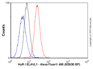 Flow Cytometry - Anti-HuR / ELAVL1 antibody [4C8] (AB136542)
