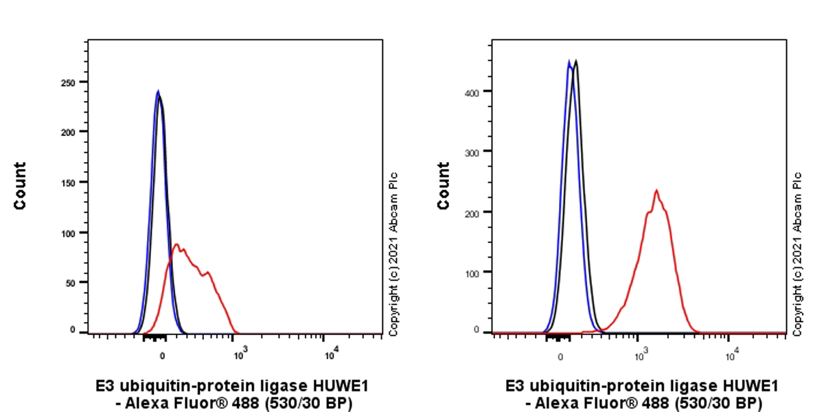 Flow Cytometry (Intracellular) - Anti-HUWE1/Mule antibody [EPR24361-13] - BSA and Azide free (ab282738), expandable thumbnail