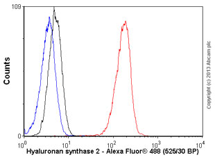 Flow Cytometry - Anti-Hyaluronan synthase 2 antibody [4E7] (AB140671), expandable thumbnail