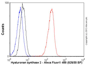 Flow Cytometry - Anti-Hyaluronan synthase 2 antibody [4E7] (AB140671)