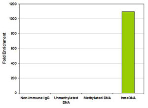 Functional Studies - Hydroxymethylated DNA Immunoprecipitation (hMeDIP) Kit (AB117134), expandable thumbnail