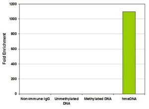 Functional Studies - Hydroxymethylated DNA Immunoprecipitation (hMeDIP) Kit (AB117134)