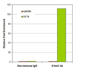 Functional Studies - Hydroxymethylated DNA Immunoprecipitation (hMeDIP) Kit (AB117134)