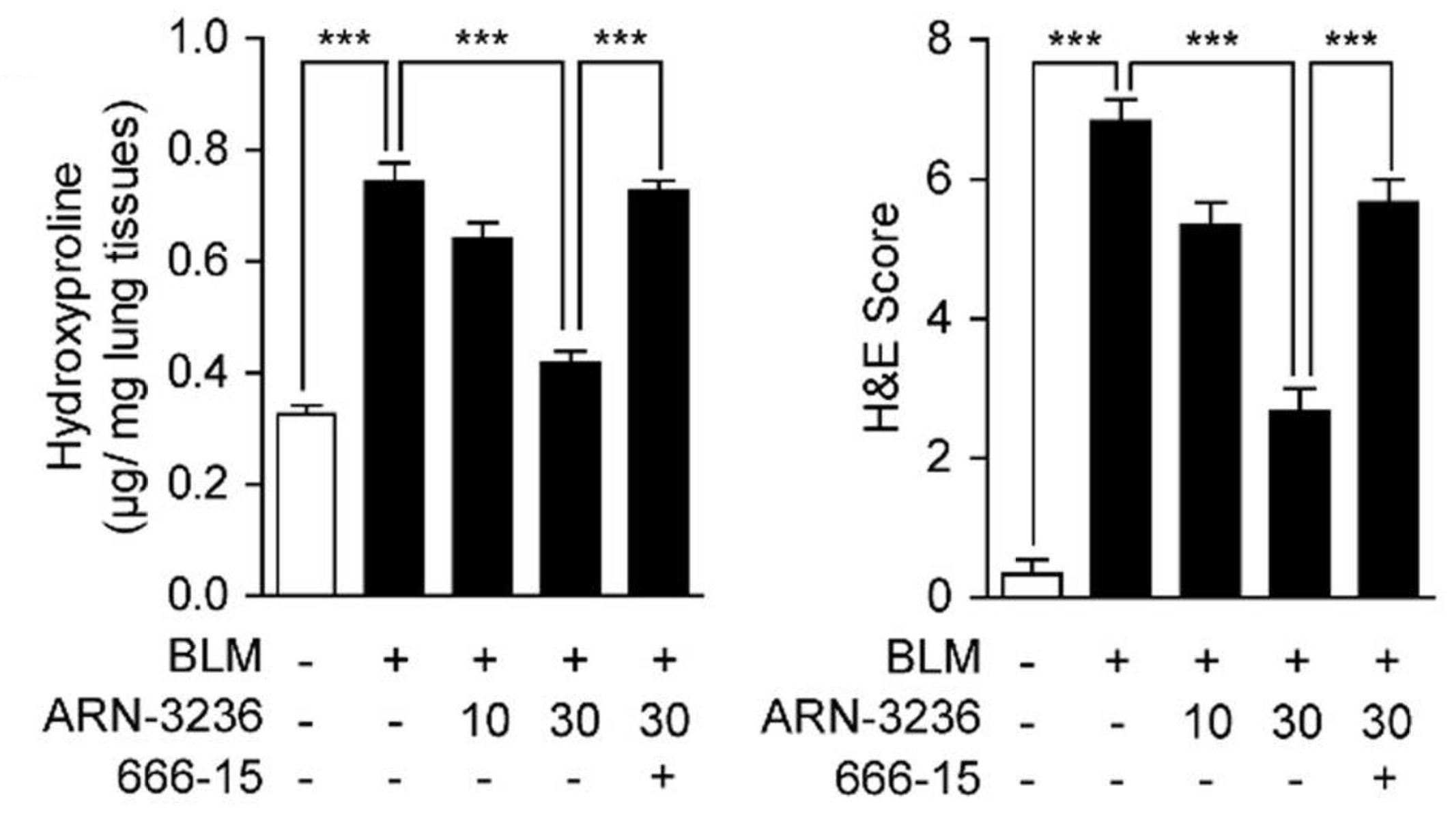 Biochemical assay - Hydroxyproline Assay Kit (Colorimetric) (ab222941), expandable thumbnail