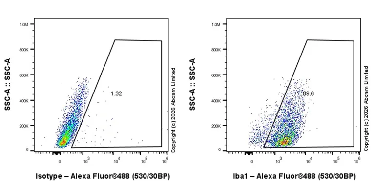 Flow Cytometry (Intracellular) - Anti-Iba1 antibody [EPR16588] - Microglia marker – Chicken IgY (Chimeric) (AB318302)