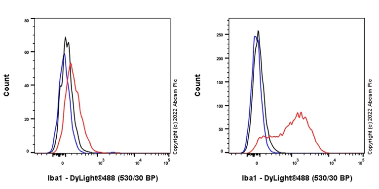 Flow Cytometry (Intracellular) - Anti-Iba1 antibody [EPR16588] - Microglia marker - Rat IgG2a (Chimeric) (AB300156)