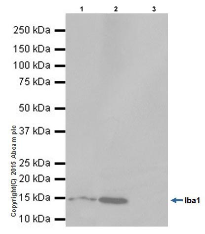 CRDH リキッド 1ml CBP THXE CBD CRDH PHC - メルカリ