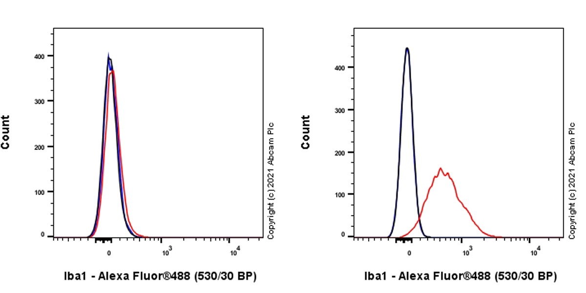 Anti-Iba1 antibody [EPR16589]. Rat Monoclonal (ab283346) | Abcam