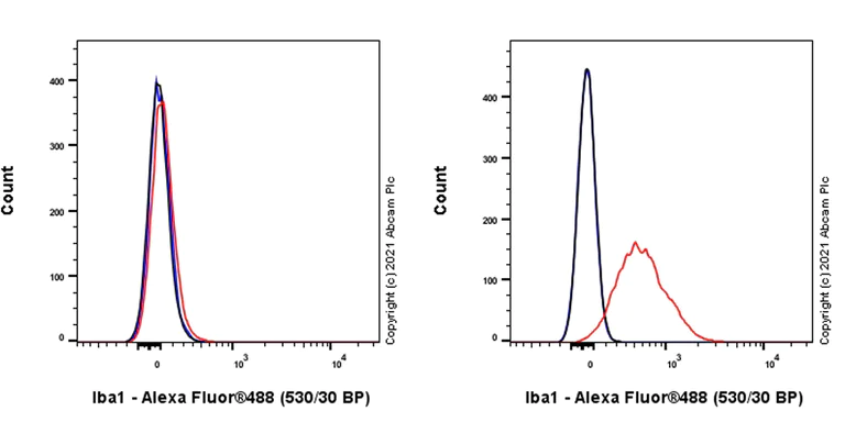 Flow Cytometry (Intracellular) - Anti-Iba1 antibody [EPR16589] - Microglia marker - Rat IgG2a (Chimeric) (AB283346)