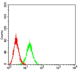 Flow Cytometry - Anti-ICAM2 antibody [6B9G10] (AB233828)