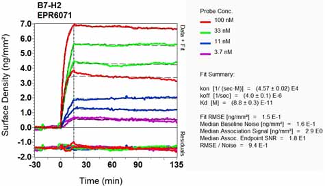 OI-RD Scanning - Anti-ICOS Ligand/ICOSL antibody [EPR6071] - BSA and Azide free (AB248080), expandable thumbnail