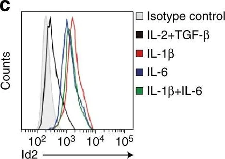 Flow Cytometry - Anti-ID2 antibody [4E12G5] (AB166708)