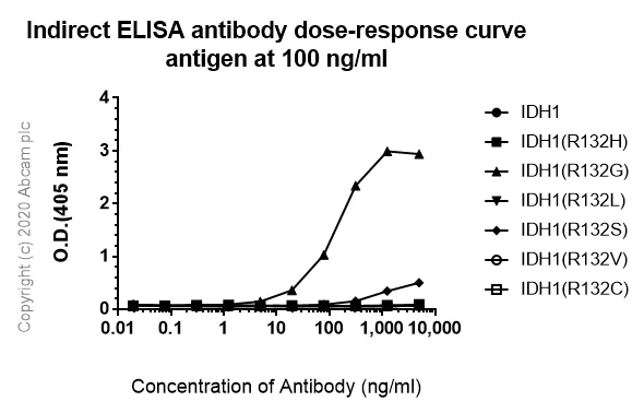 Indirect ELISA - Anti-IDH1 (mutated R132G) antibody [GMab-r1] - BSA and Azide free (AB264058)