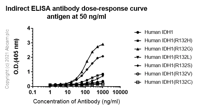 ELISA - Anti-IDH1 (mutated R132G) + IDH2 (mutated R172G) antibody [MsMab-1] - BSA and Azide free (AB264085)
