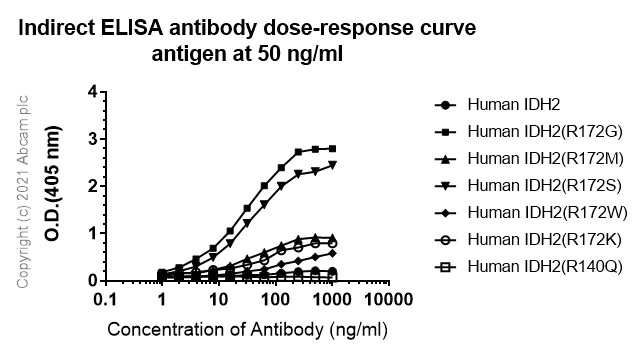 ELISA - Anti-IDH1 (mutated R132G) + IDH2 (mutated R172G) antibody [MsMab-1] - BSA and Azide free (AB264085)