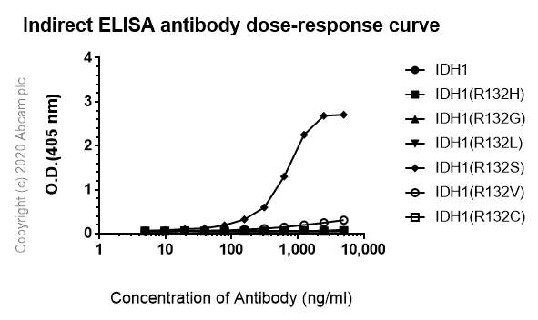 Indirect ELISA - Anti-IDH1 (mutated R132S) antibody [SMab-1] - BSA and Azide free (AB264057)