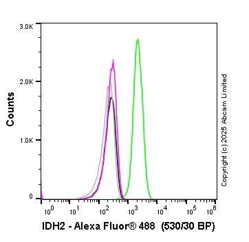 Flow Cytometry (Intracellular) - Anti-IDH2 antibody [EPR7577] - BSA and Azide free (AB230796)