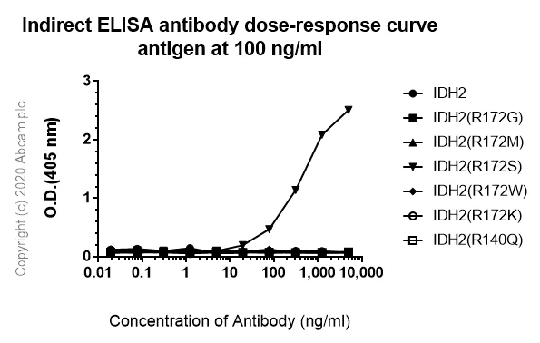 Indirect ELISA - Anti-IDH2 (mutated R172S) antibody [SMab-2] (AB264056)