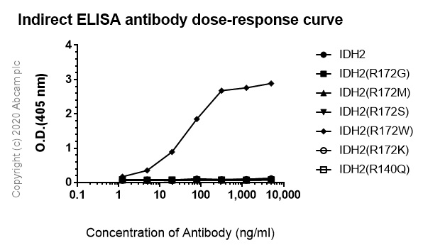 Indirect ELISA - Anti-IDH2 (mutated R172W) antibody [WMab-1] (AB264054), expandable thumbnail
