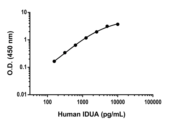 Sandwich ELISA - Anti-IDUA antibody [EPR26926-64] - BSA and Azide free (Detector) (AB309235)