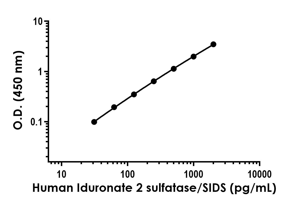 Sandwich ELISA - Anti-Iduronate 2 sulfatase/SIDS antibody [EPR25954-155] - BSA and Azide free (Detector) (AB316988)