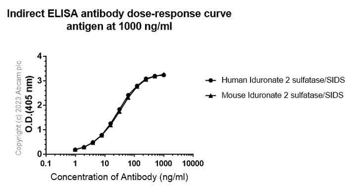 Indirect ELISA - Anti-Iduronate 2 sulfatase/SIDS antibody [EPR25954-194] - BSA and Azide free (AB314483)