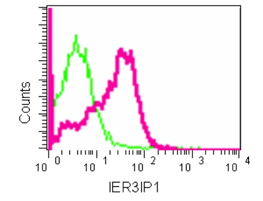 Flow Cytometry (Intracellular) - Anti-IER3IP1 antibody [EPR13440] - BSA and Azide free (AB250460), expandable thumbnail