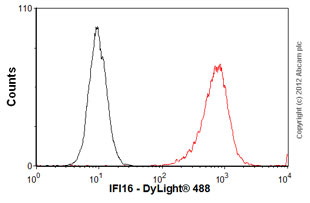 Anti-IFI16 antibody [2E3]