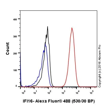 Flow Cytometry (Intracellular) - Anti-IFI16 antibody [EPR11767(B)] (AB169788)