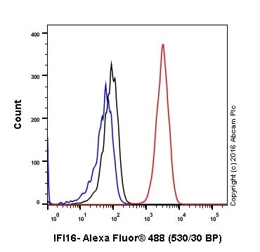 Flow Cytometry (Intracellular) - Anti-IFI16 antibody [EPR11767(B)] (AB169788)