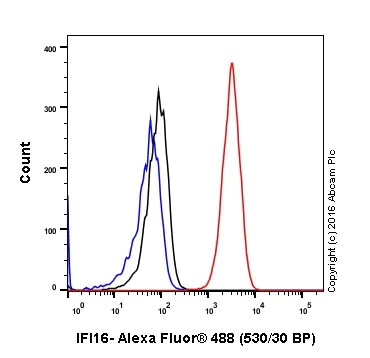 Flow Cytometry (Intracellular) - Anti-IFI16 antibody [EPR11767(B)] - BSA and Azide free (AB249529)