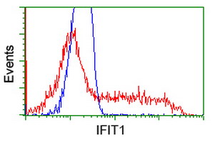 Flow Cytometry (Intracellular) - Anti-IFIT1 antibody [OTI3G8] (AB118062)