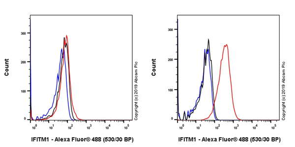Flow Cytometry (Intracellular) - Anti-IFITM1 antibody [EPR22620-12] (AB233545), expandable thumbnail