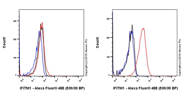 Flow Cytometry (Intracellular) - Anti-IFITM1 antibody [EPR22620-12] (AB233545)