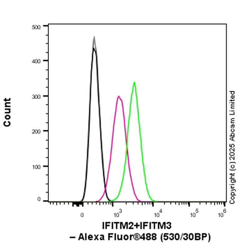 Flow Cytometry (Intracellular) - Anti-IFITM2+IFITM3 antibody [EPR28942-88] (AB323747), expandable thumbnail