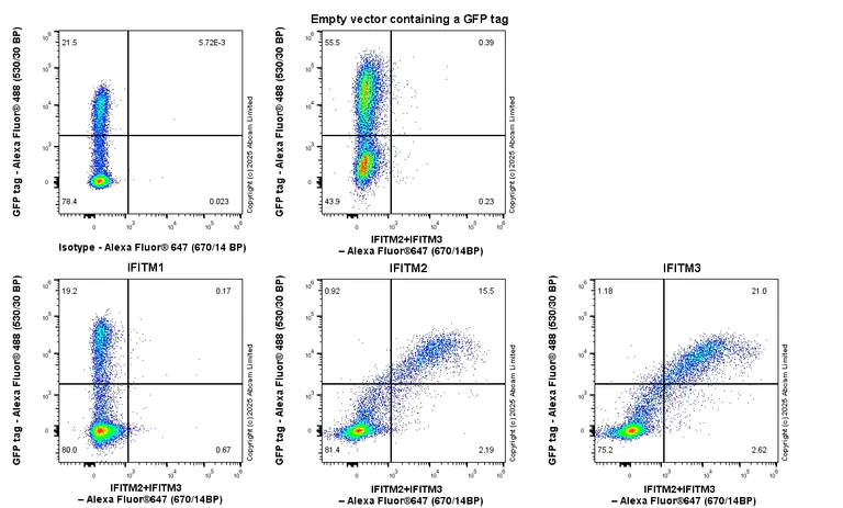 Flow Cytometry (Intracellular) - Anti-IFITM2+IFITM3 antibody [EPR28942-88] (AB323747)