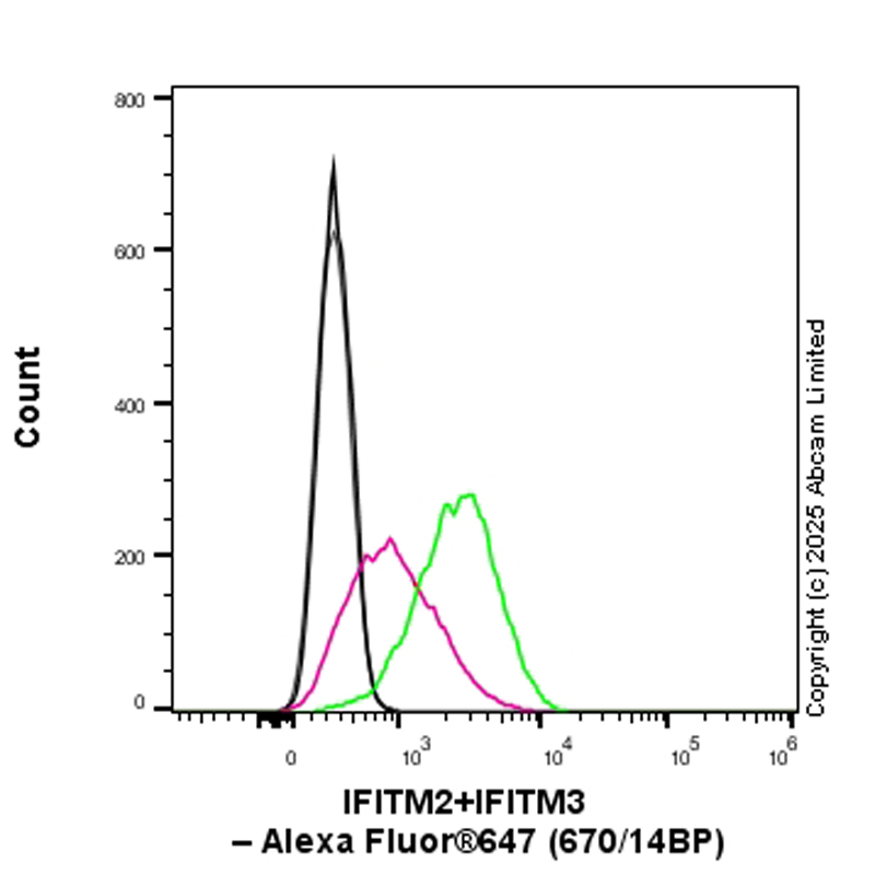 Flow Cytometry (Intracellular) - Anti-IFITM2+IFITM3 antibody [EPR28942-88] (AB323747), expandable thumbnail