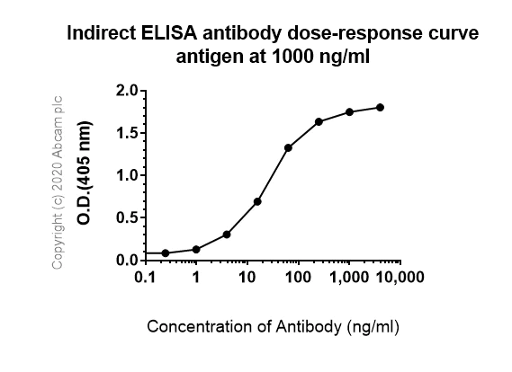 ELISA - Anti-IFN gamma Receptor beta/AF-1 antibody [EPR22171] (AB224197)