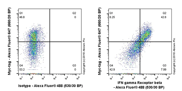 Flow Cytometry - Anti-IFN gamma Receptor beta/AF-1 antibody [EPR22171] (AB224197)