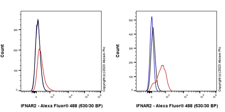 Flow Cytometry - Anti-IFNAR2 antibody [EPR24706-26] - BSA and Azide free (AB308499)