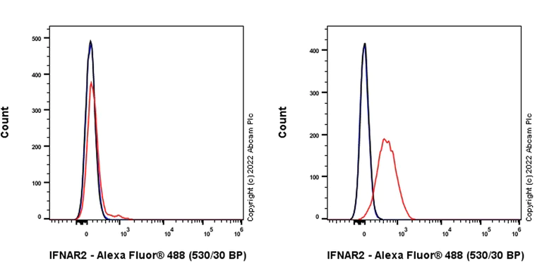 Flow Cytometry - Anti-IFNAR2 antibody [EPR24706-26] - BSA and Azide free (AB308499)