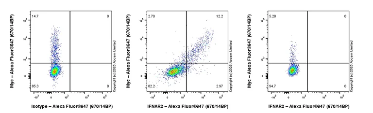Flow Cytometry - Anti-IFNAR2 antibody [EPR30040-618] (AB325427)