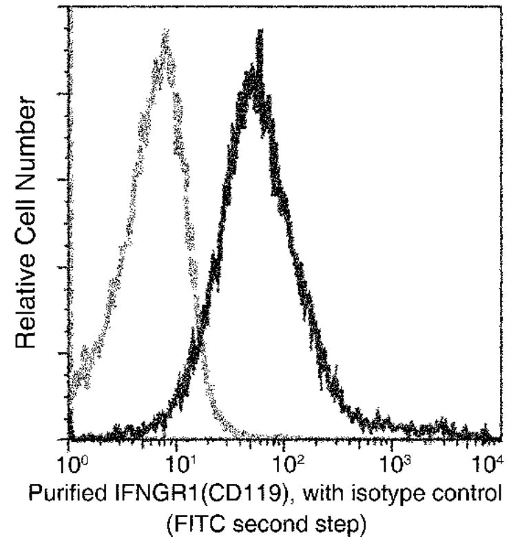 Flow Cytometry - Anti-IFNGR1 antibody [062] - BSA and Azide free (AB277133)