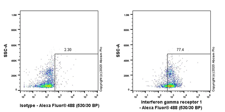 Flow Cytometry - Anti-IFNGR1 antibody [EPR24127-89] (AB280353)