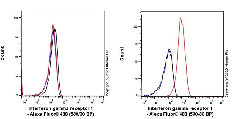 Flow Cytometry - Anti-IFNGR1 antibody [EPR24127-89] (AB280353)