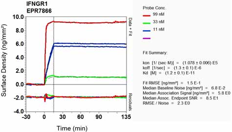 OI-RD Scanning - Anti-IFNGR1 antibody [EPR7866] (ab134070), expandable thumbnail